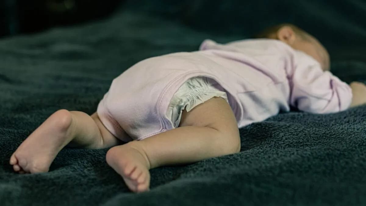 Macabre découverte à Orange : cinq squelettes de bébés dans des cartons, l'ombre des affaires Cottrez et Courjault