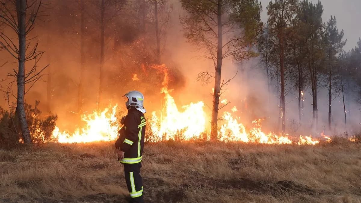 Laura Smet et Guillaume Canet : soulagement après les incendies en Gironde