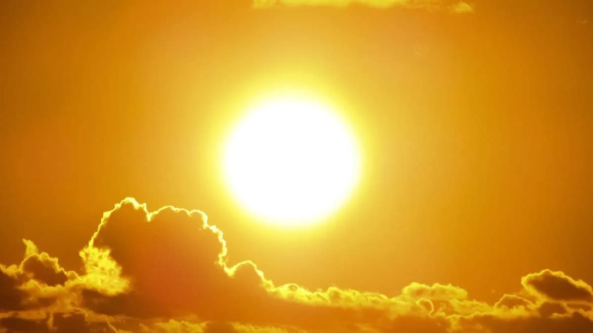 Canicule à Paris : cette chanteuse française avoue souffrir sans clim' dans son appartement