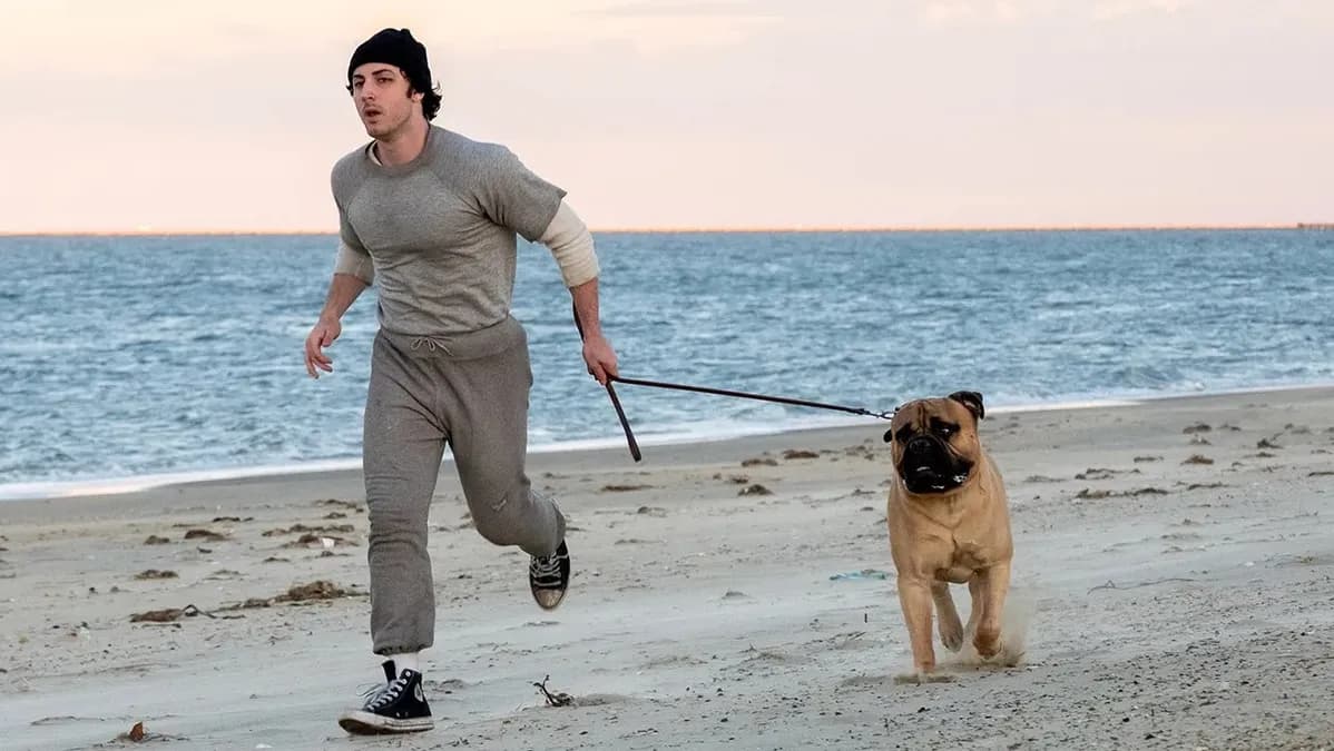 I Play Rocky de Peter Farrelly : critique exclusive du biopic qui raconte la création du légendaire Rocky