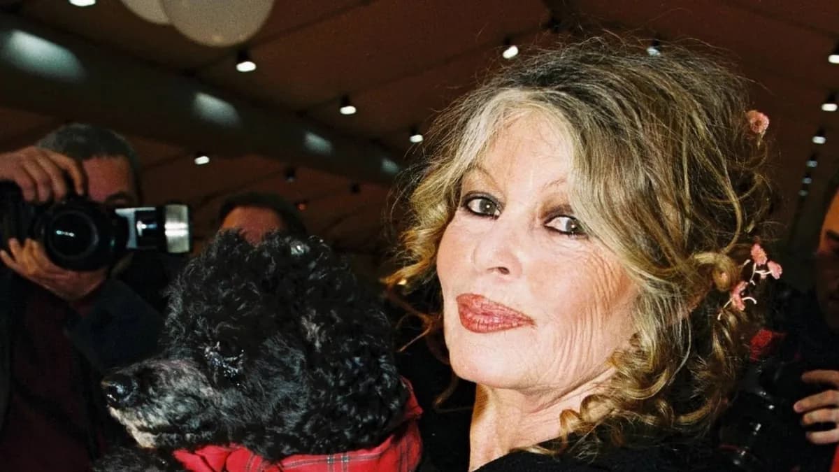 Plage de Cannes renommée en hommage à Brigitte Bardot, icône du cinéma français