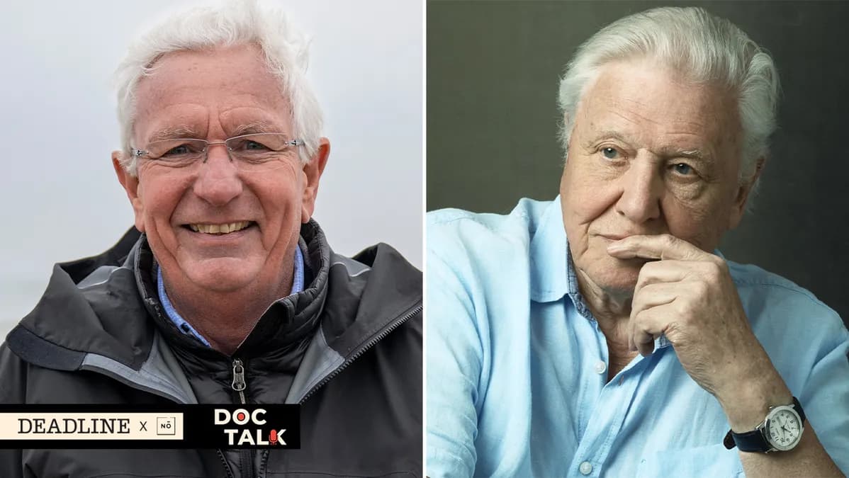David Attenborough, centenaire et deux fois nommé aux Emmy : l'incroyable consécration du naturaliste préféré des Français